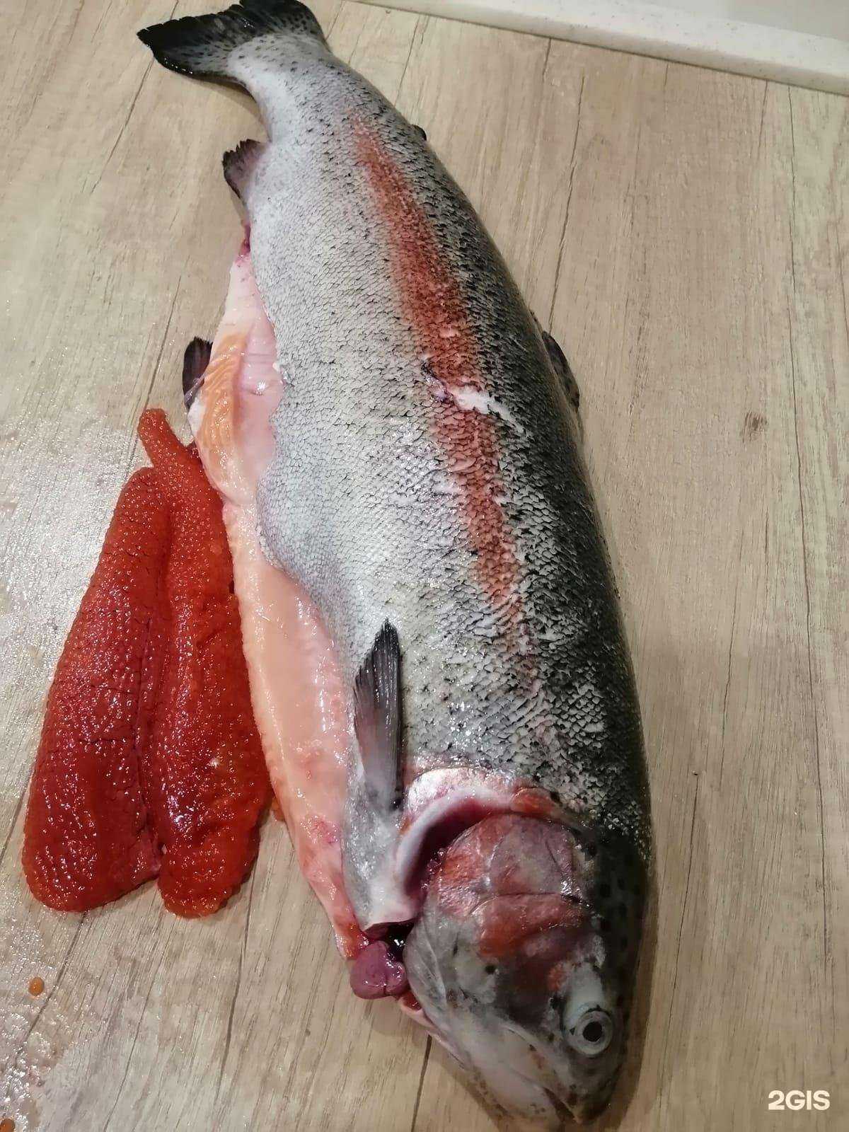 Отзывы на компанию ЯгодГрад в г. Курган c фото