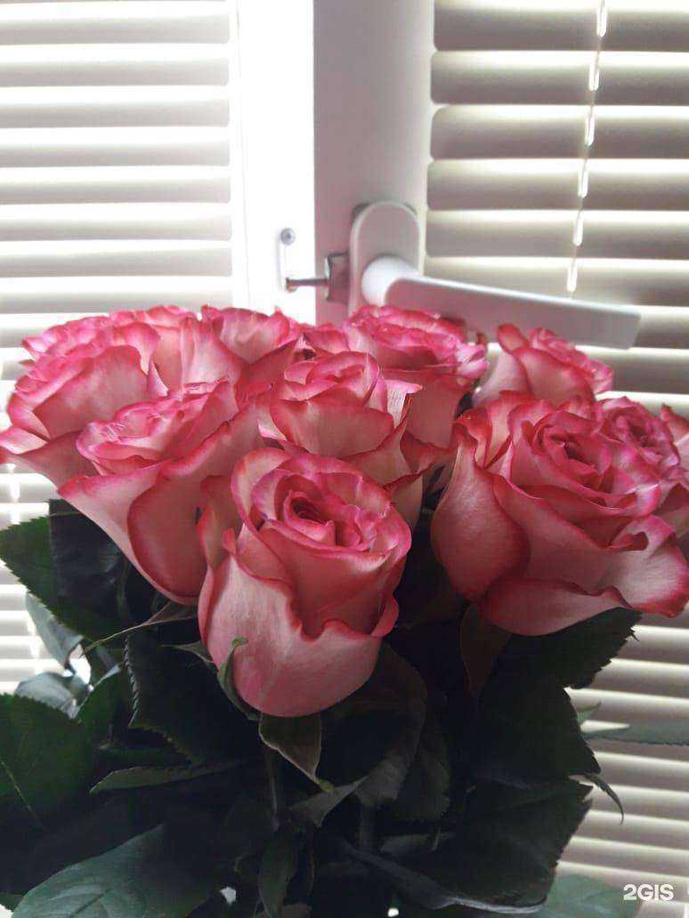 Отзывы на компанию Цветочный дворик в г. Новый Уренгой c фото