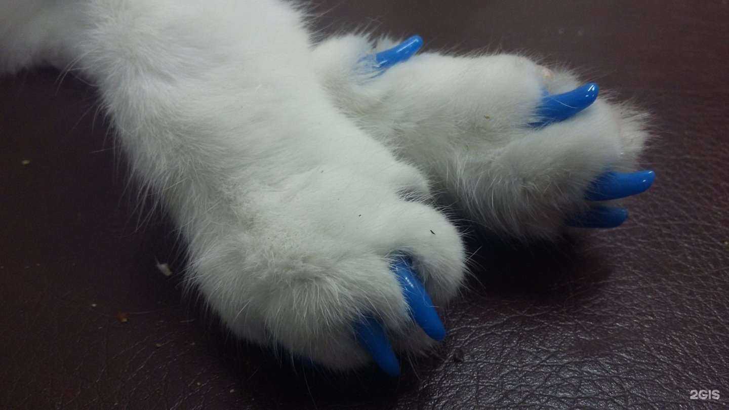 Отзывы на компанию Алабай в г. Астрахань c фото