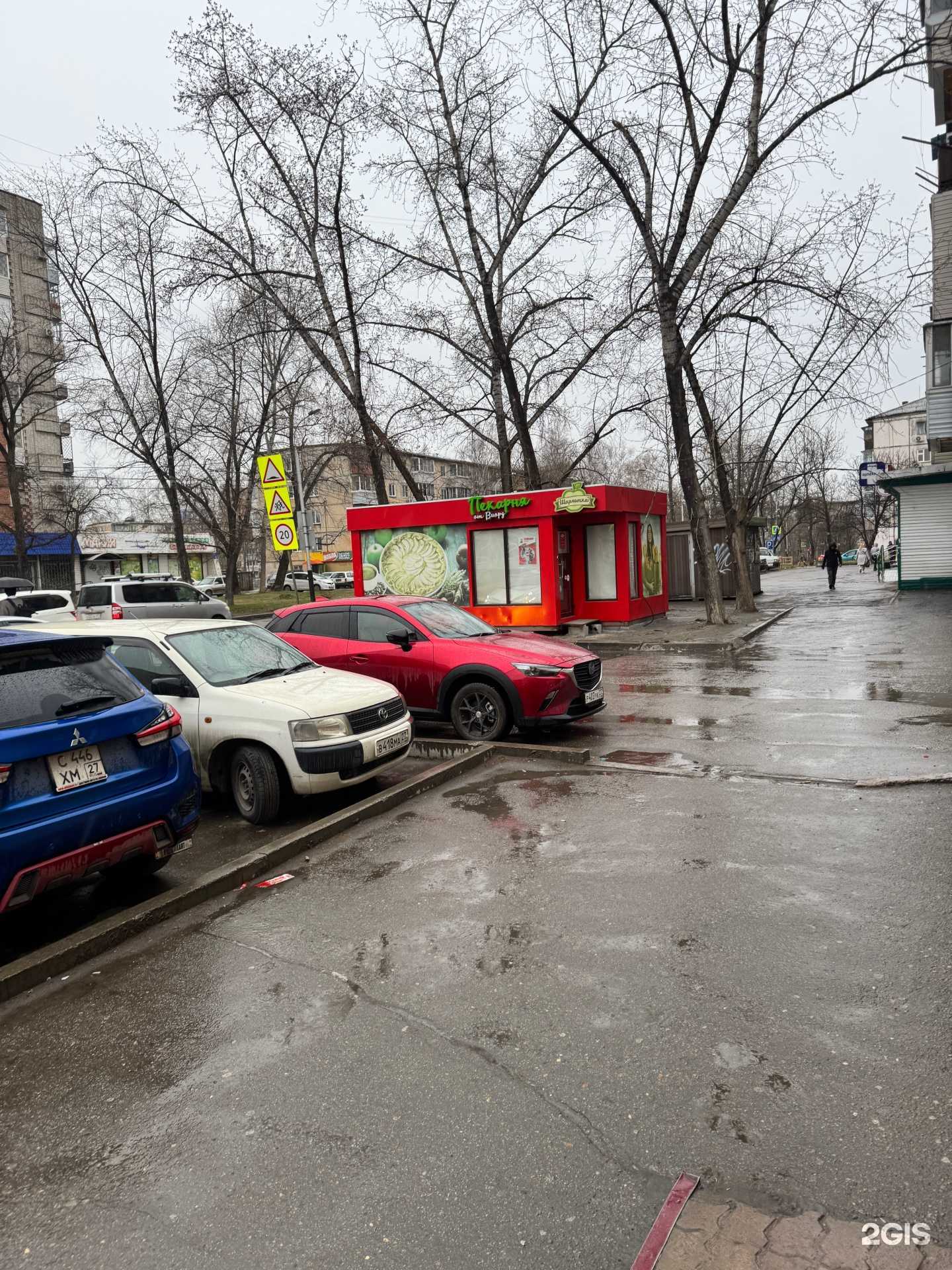 Отзывы на компанию Шарлотка Виорд в Хабаровске c фото