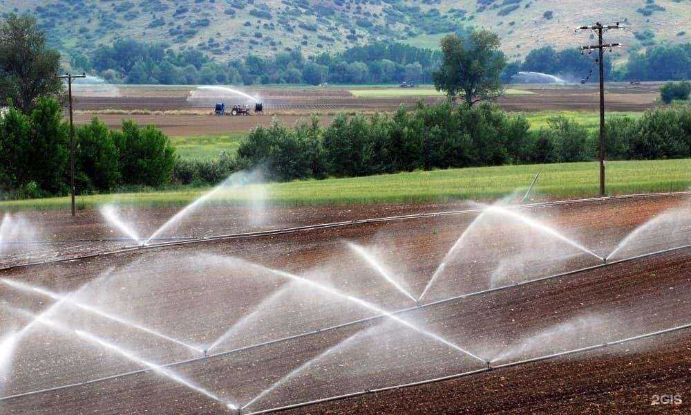 Отзывы на компанию Гроссис в г. Ивантеевка c фото