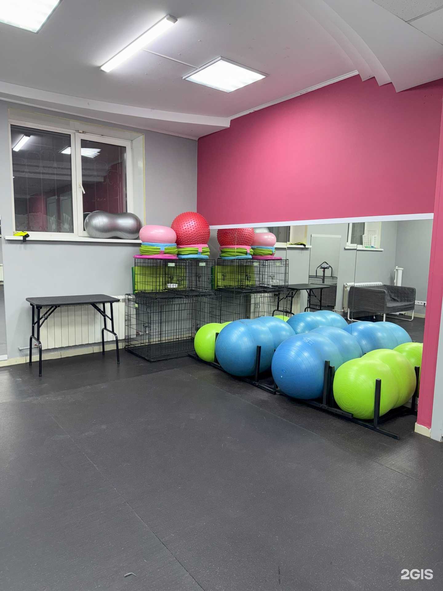 Отзывы на компанию Dog Room в Омске c фото