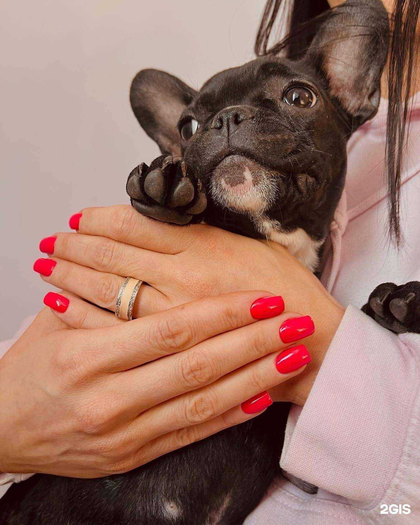 Отзывы на компанию В тренде в Кемерове c фото