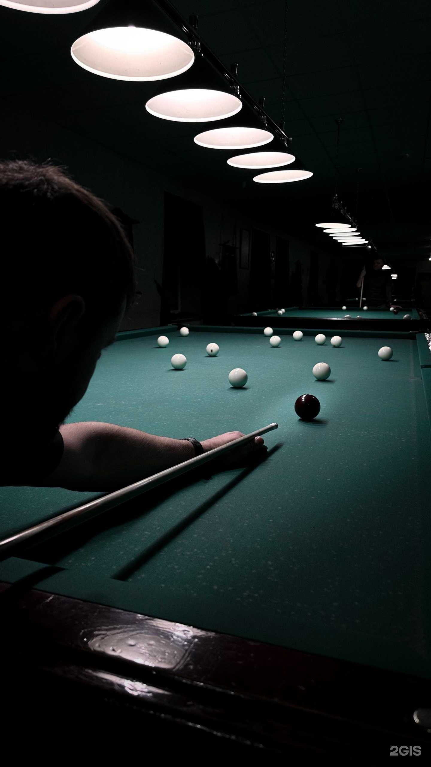 Отзывы на компанию Гладиатор в Мурманске c фото