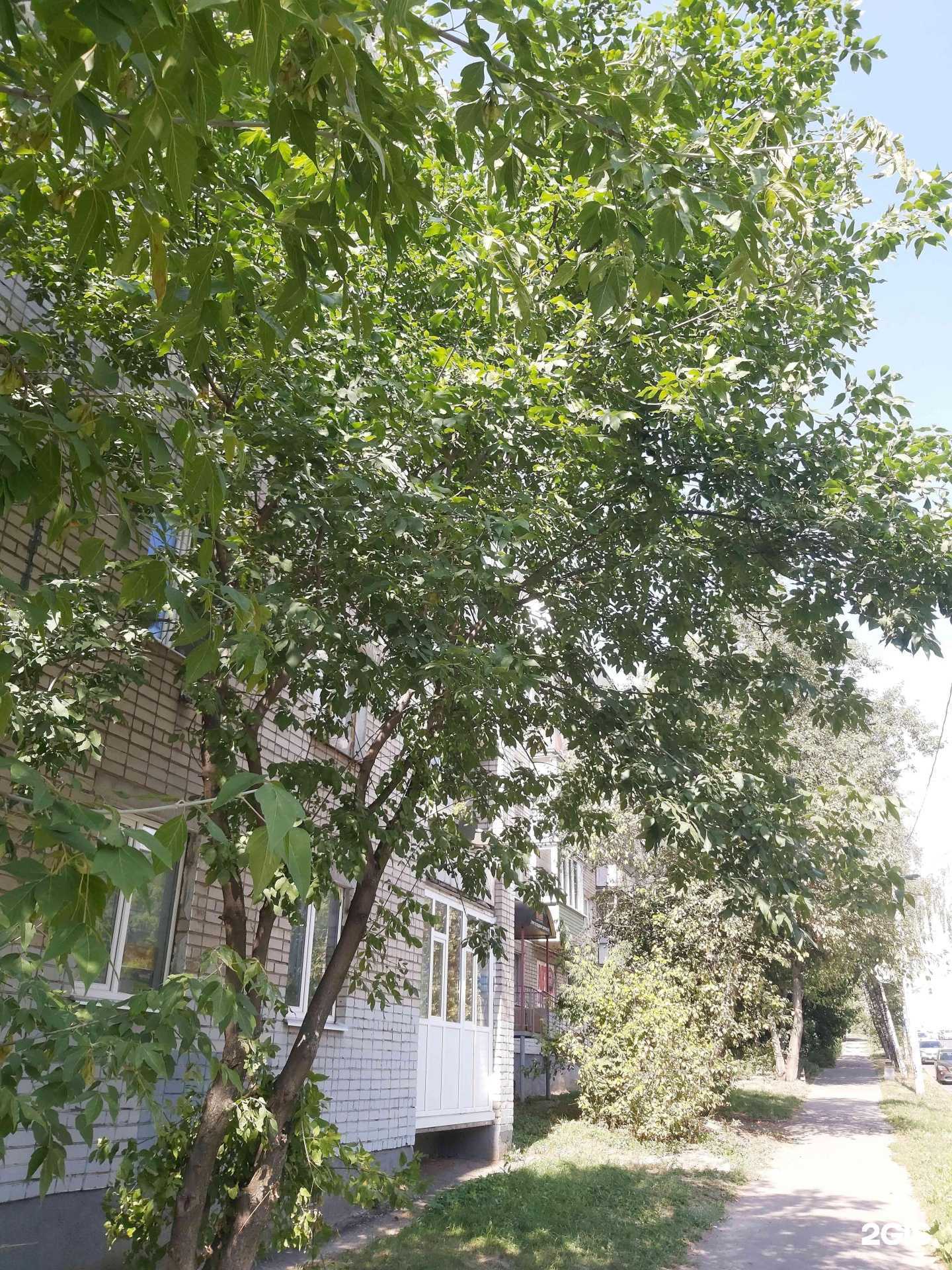 Отзывы на компанию Orsa Auto Parts в Ярославле c фото - фотография 2 из 2