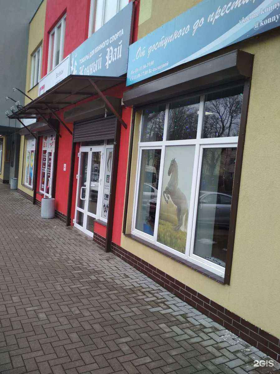 Отзывы на компанию Конный рай в Калининграде c фото