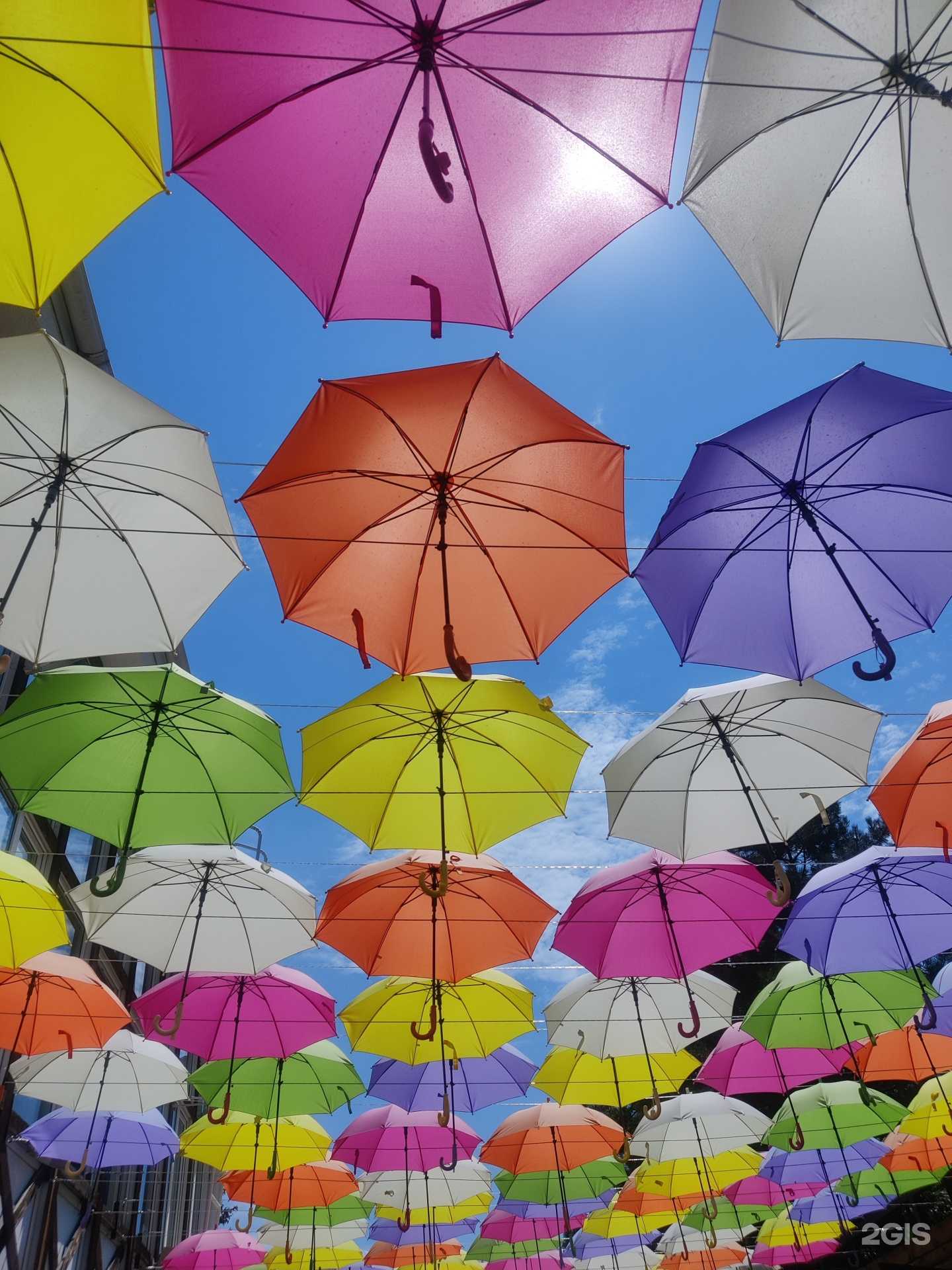 Отзывы на компанию Турагентство Дарьи Цеповой в г. Нижний Тагил c фото