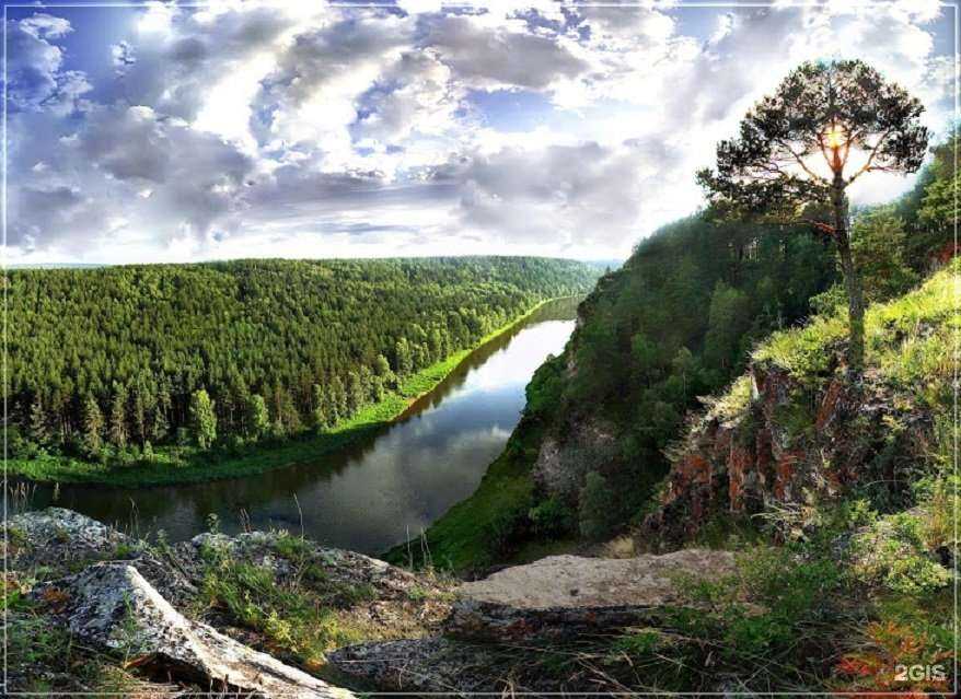 Отзывы на компанию Зенит в г. Челябинск c фото