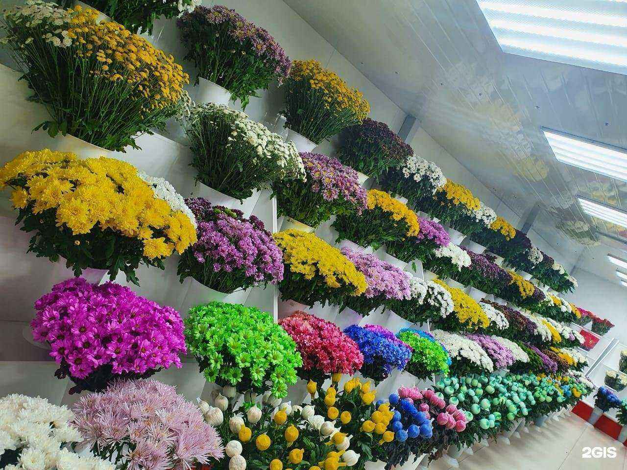 Отзывы на компанию Azeriflores в Владивостоке c фото