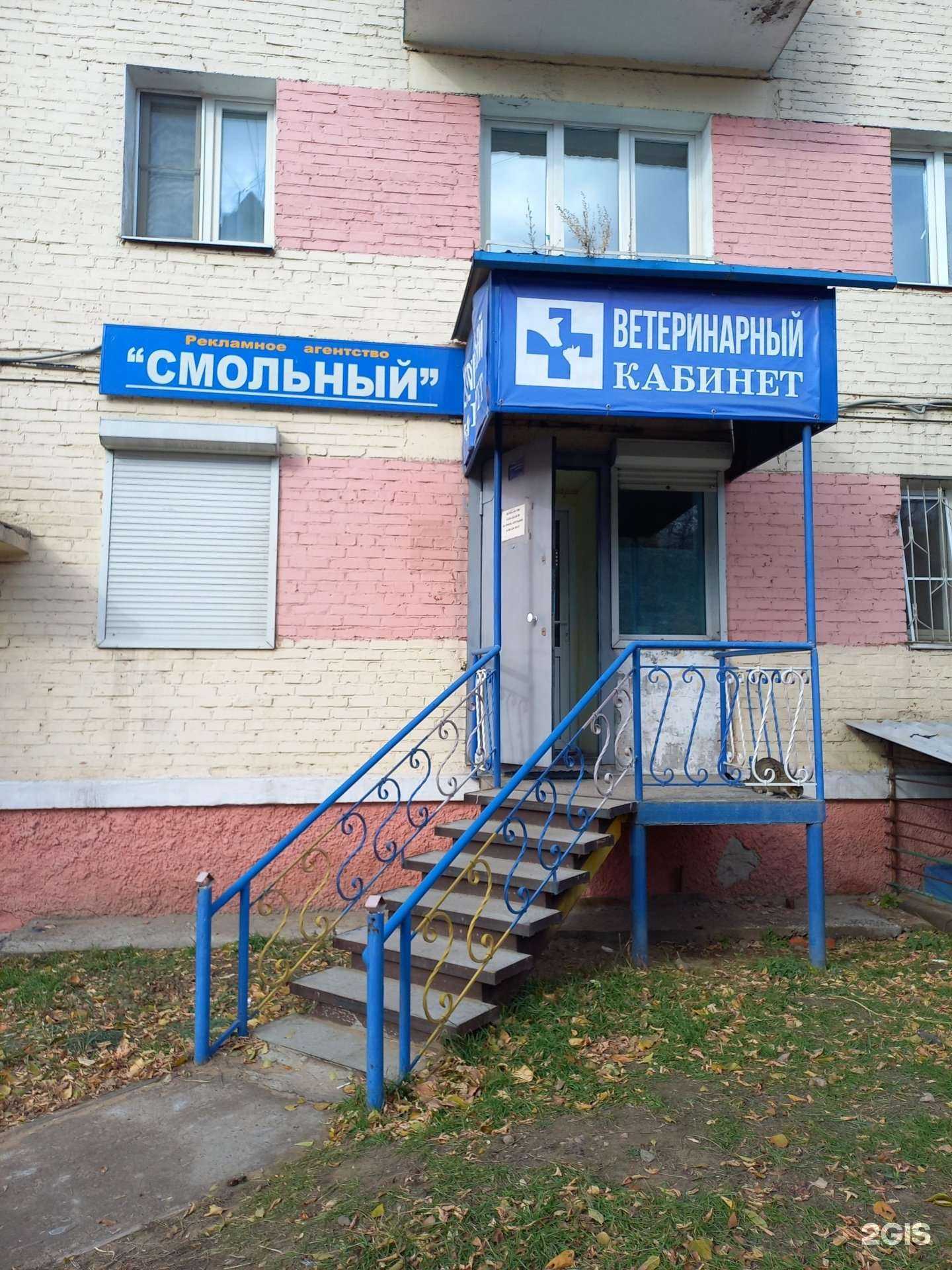 Отзывы на компанию Ветеринарный кабинет в г. Улан-Удэ c фото