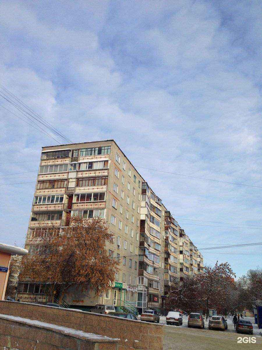 Отзывы на компанию Основа здоровья в Челябинске c фото - фотография 2 из 2