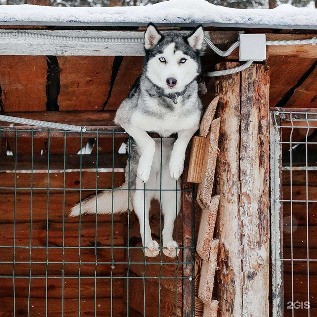 Отзывы на компанию Северный полюс в г. Самара c фото