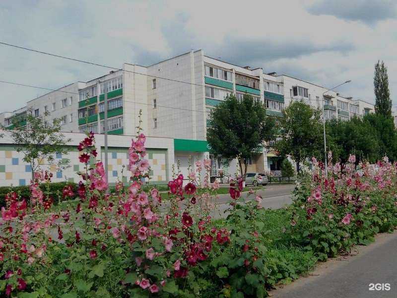 Отзывы на компанию Бизнес-Юрист в Туймазах c фото - фотография 2 из 2