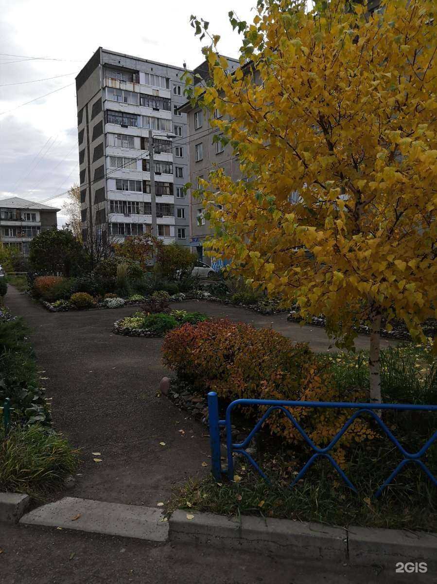 Отзывы на компанию Мудрый филин в Красноярске c фото - фотография 2 из 2