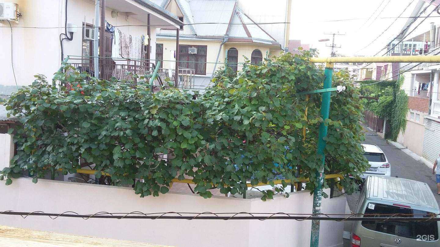 Отзывы на компанию Пик в г. Сочи c фото