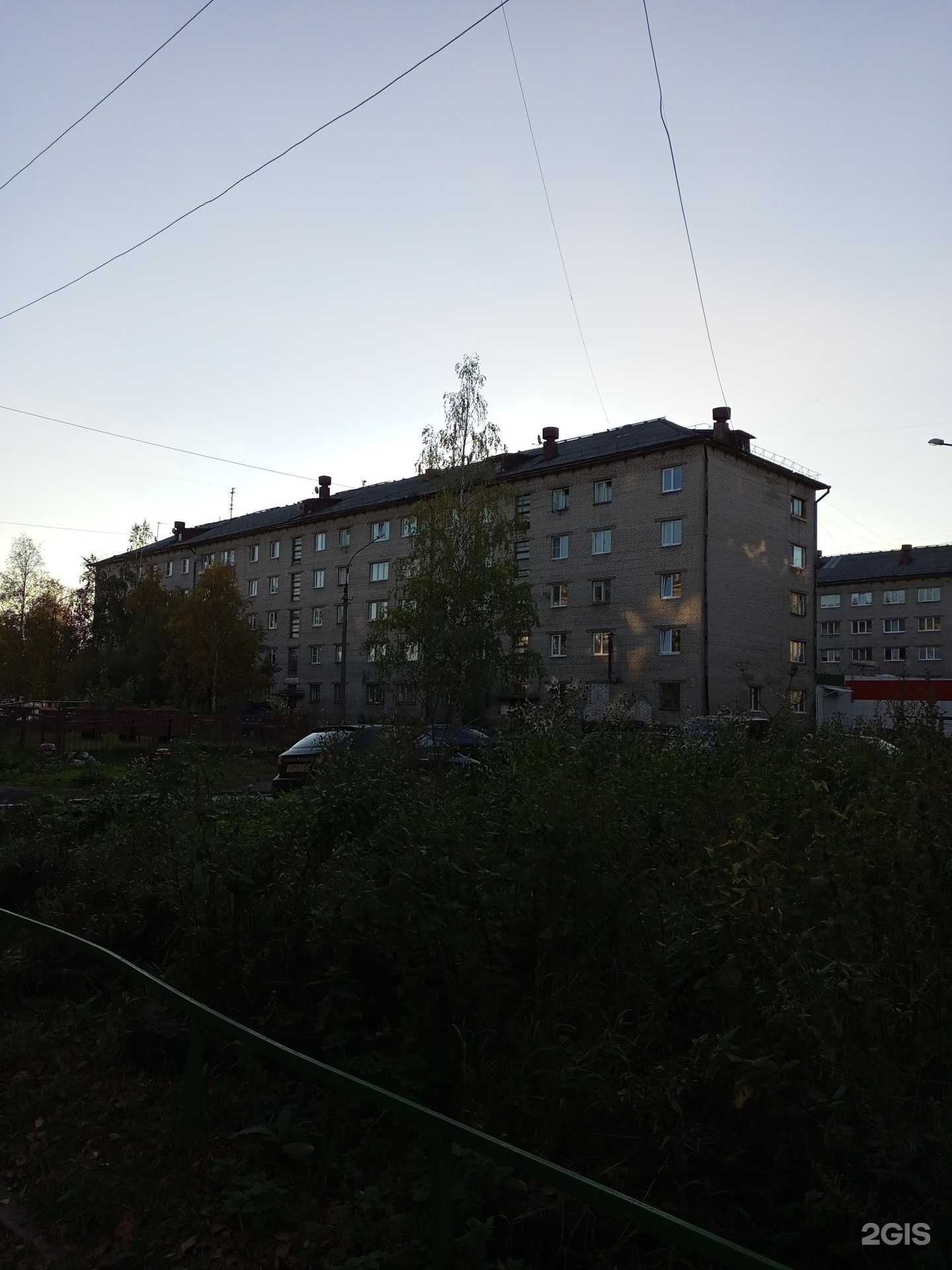 Отзывы на компанию Медвежонок в Архангельске c фото - фотография 2 из 2