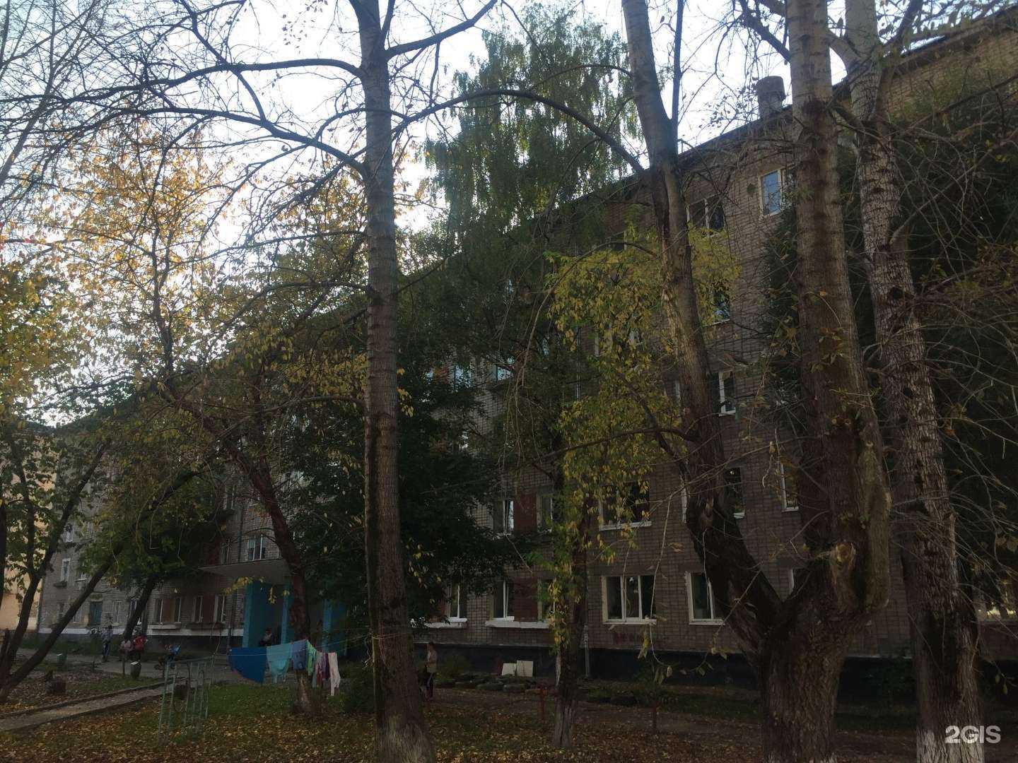 Отзывы на компанию Кудряшка в Перми c фото - фотография 2 из 2