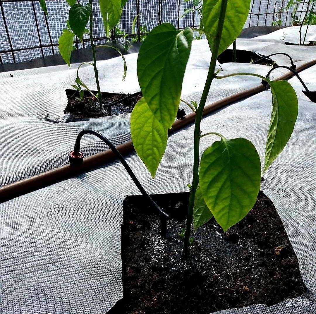 Отзывы на компанию Весь полив в г. Магнитогорск c фото