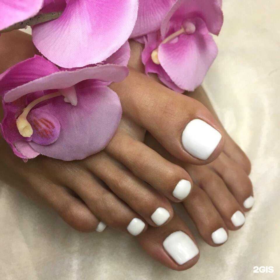 Отзывы на компанию Venera в Пскове c фото