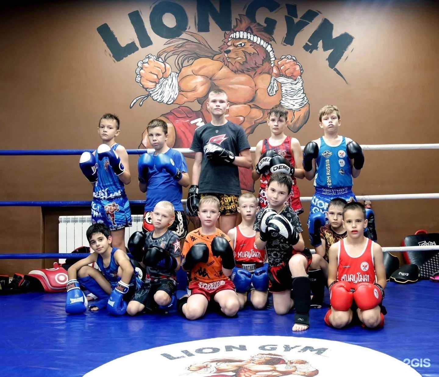 Отзывы на компанию Lion Gym в Новосибирске c фото