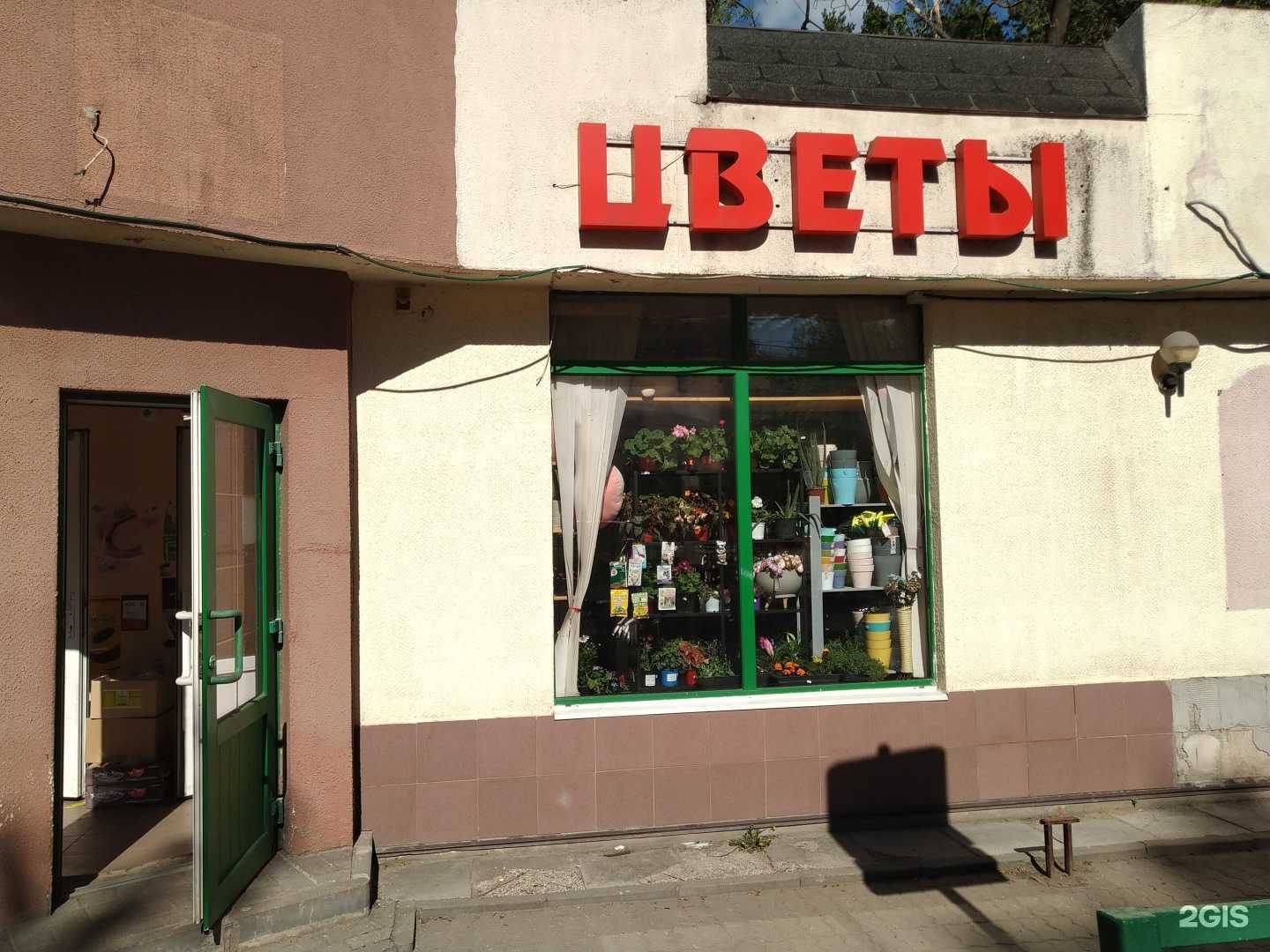 Отзывы на компанию Магазин цветов в Жуковском c фото