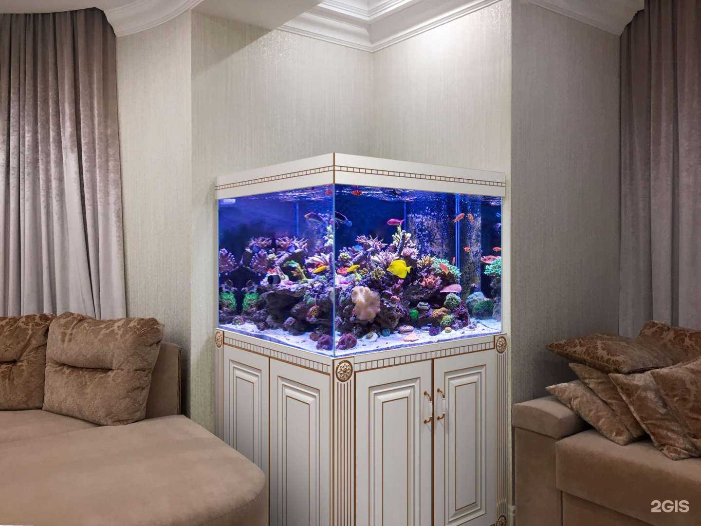 Отзывы на компанию Happyfishes в г. Самара c фото