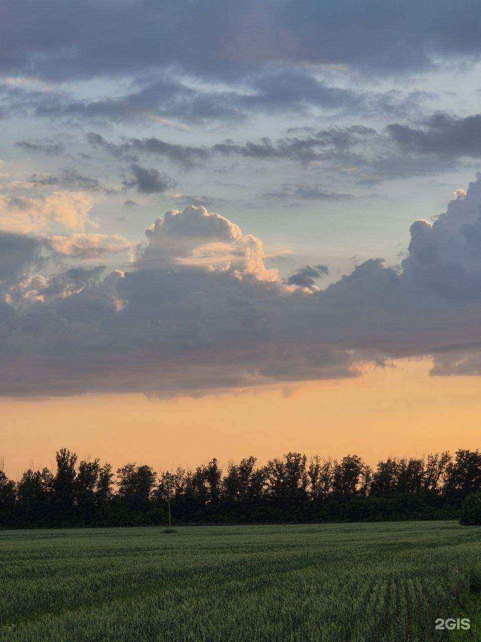 Отзывы на компанию Парикмахерская в Тольятти c фото - фотография 2 из 2