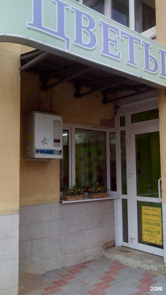 Отзывы на компанию Кактус в Тамбове c фото