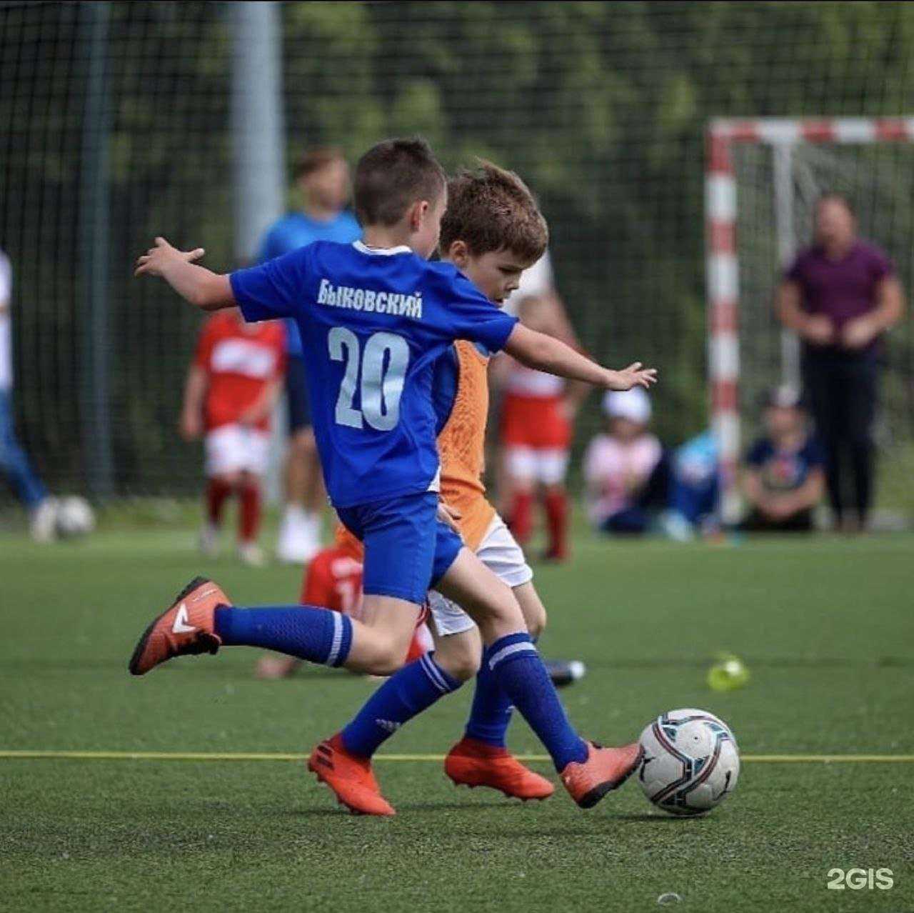 Отзывы на компанию Дрим тим в Туле c фото