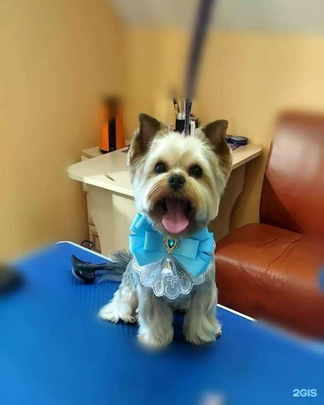 Отзывы на компанию Ева в Истре c фото