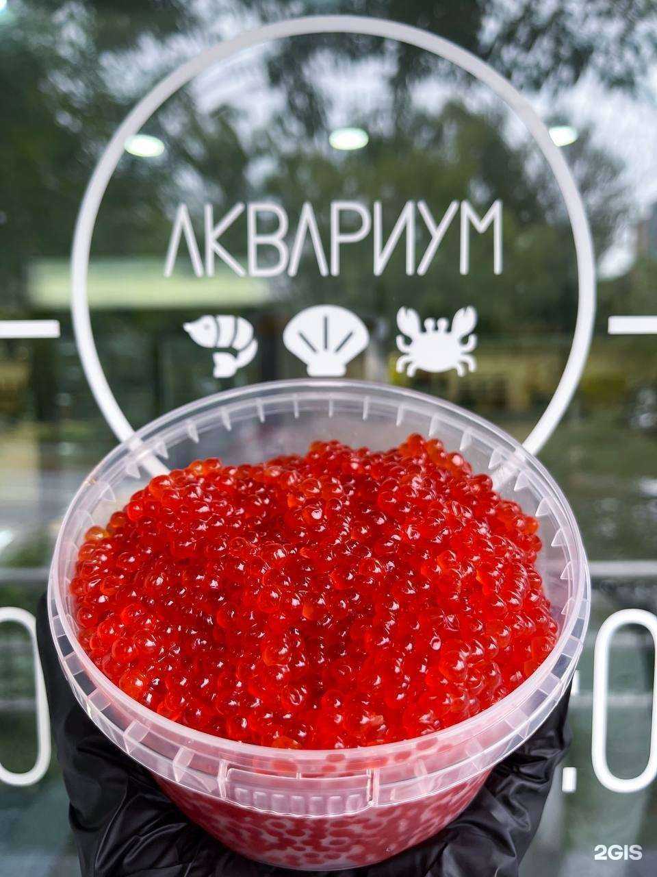 Отзывы на компанию Аквариум в г. Владивосток c фото