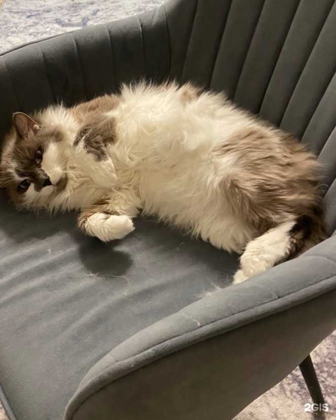 Отзывы на компанию Место есть! в г. Барнаул c фото