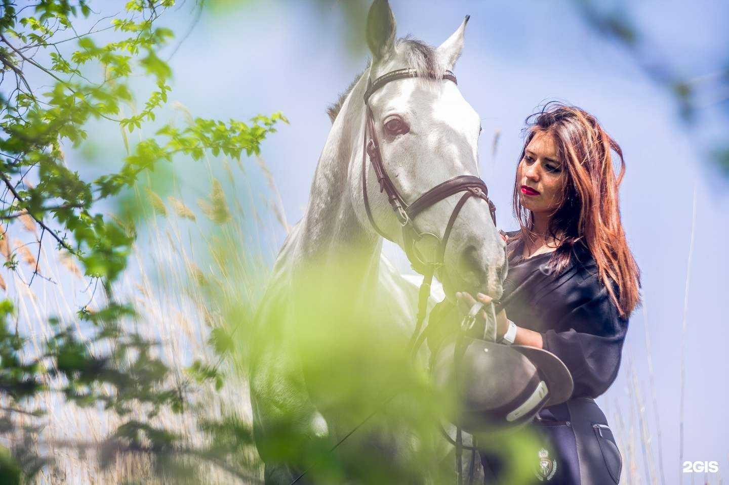 Отзывы на компанию Волгоградский казачий конноспортивный клуб в Волгограде c фото