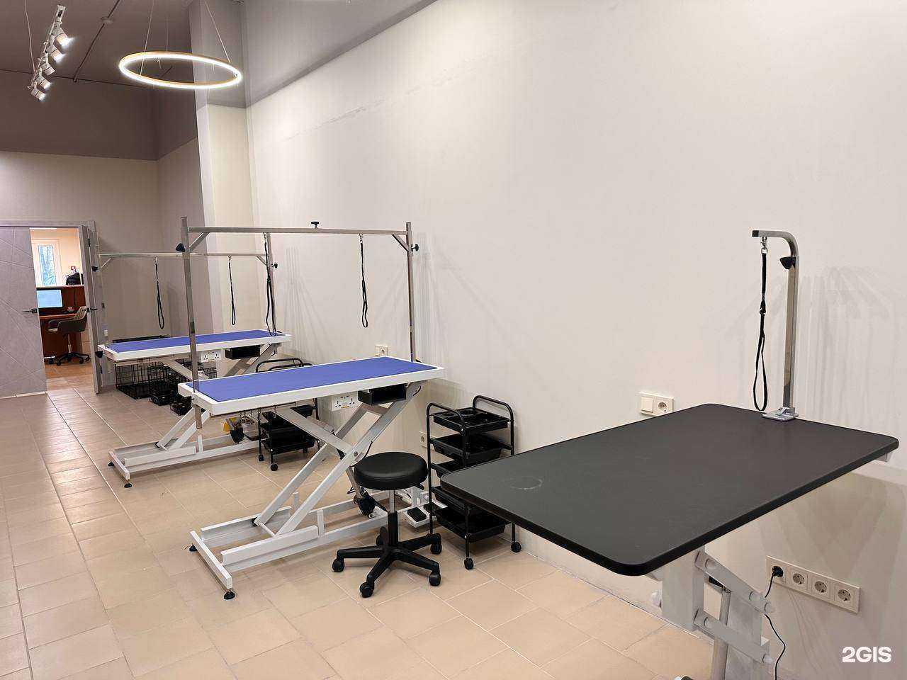 Отзывы на компанию Peach Pets в г. Владимир c фото