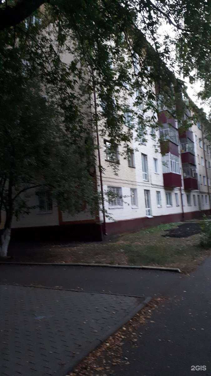 Отзывы на компанию Покатайка в г. Саранск c фото