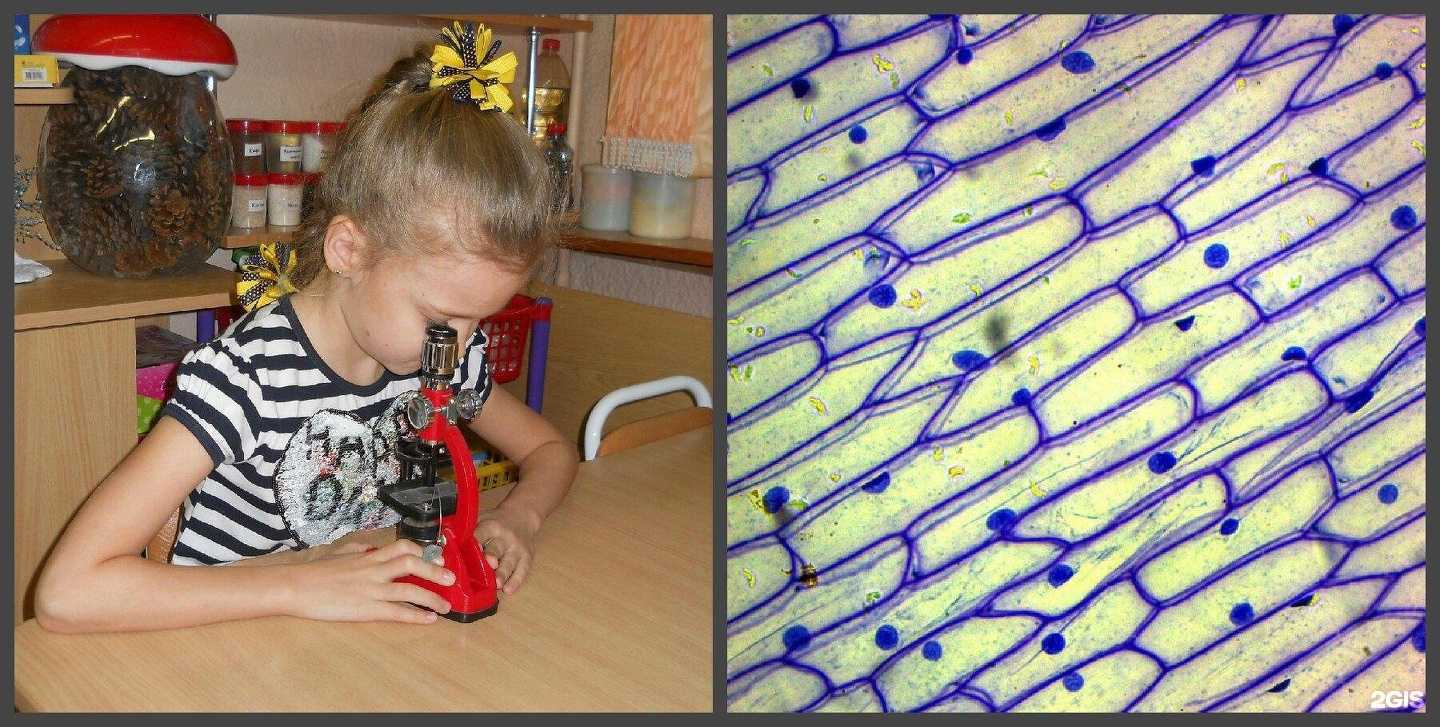 Отзывы на компанию Детский сад №163 в Твери c фото