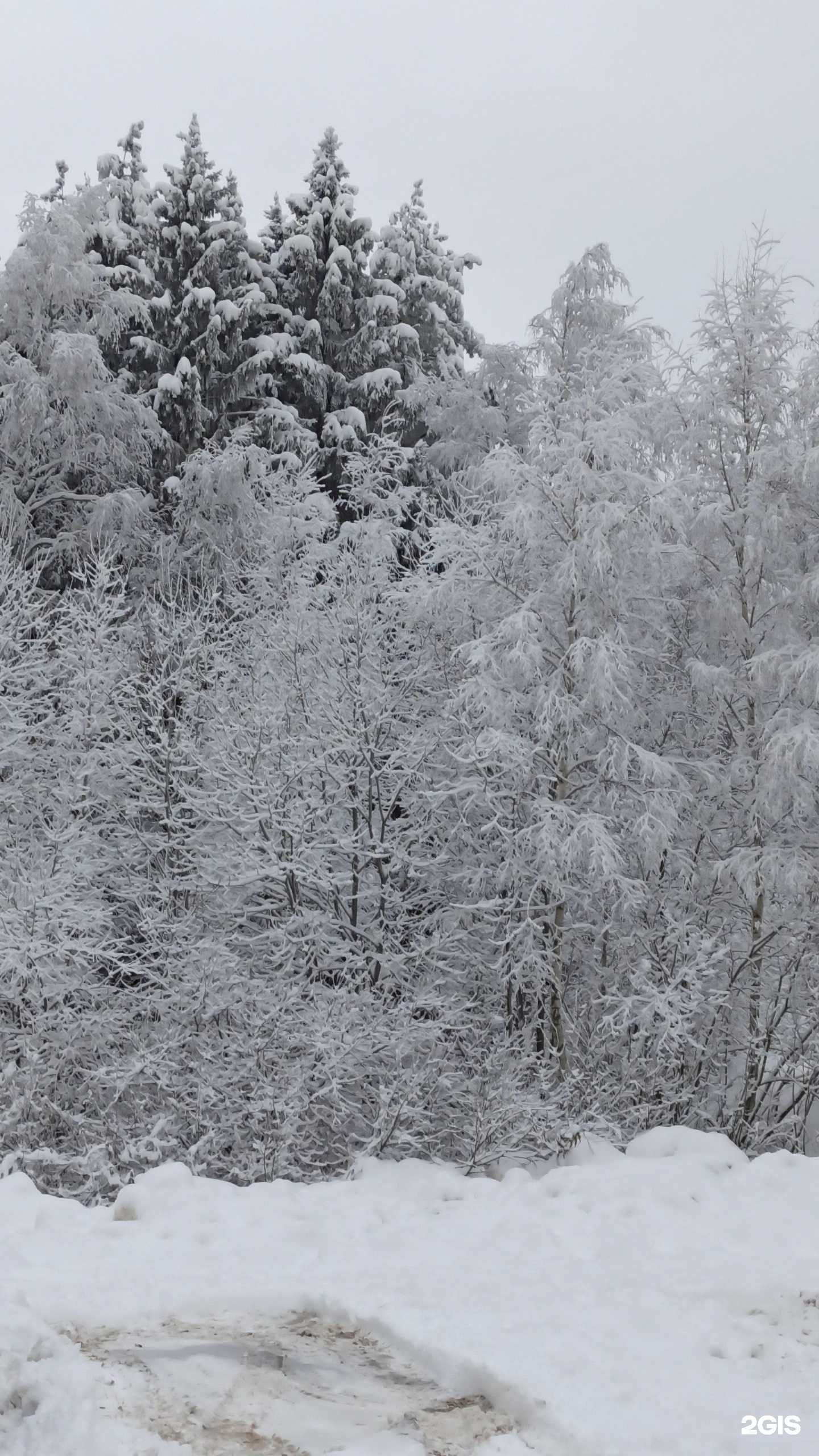 Отзывы на компанию Студия чистовой отделки в г. Лобня c фото