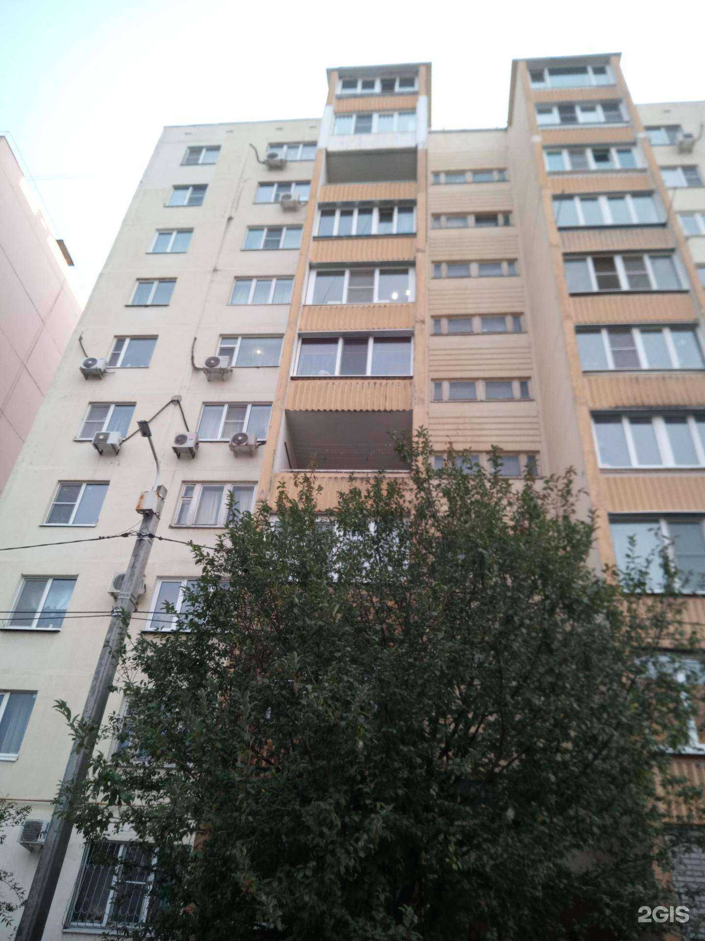 Отзывы на компанию Любимчик в Ростове-на-Дону c фото - фотография 2 из 2