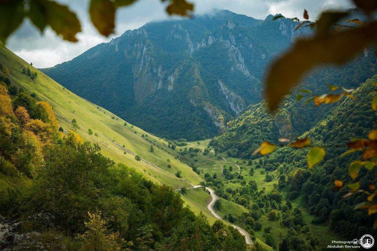 Отзывы на компанию Издательский дом в Грозном c фото