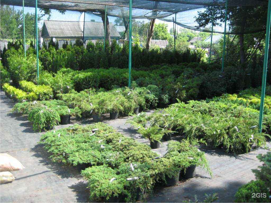 Отзывы на компанию Садовый центр Веры Глуховой в Самаре c фото