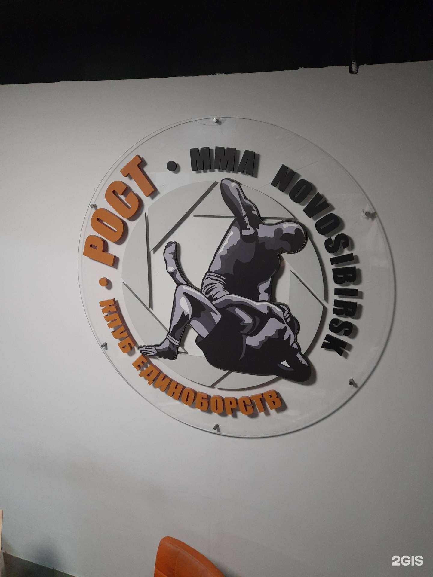 Отзывы на компанию Сибирская ассоциация айкидо в Новосибирске c фото