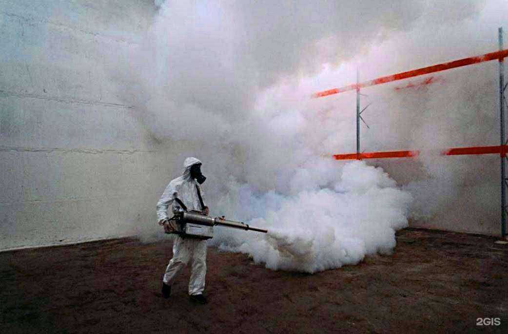 Отзывы на компанию ДезМастер в г. Энгельс c фото