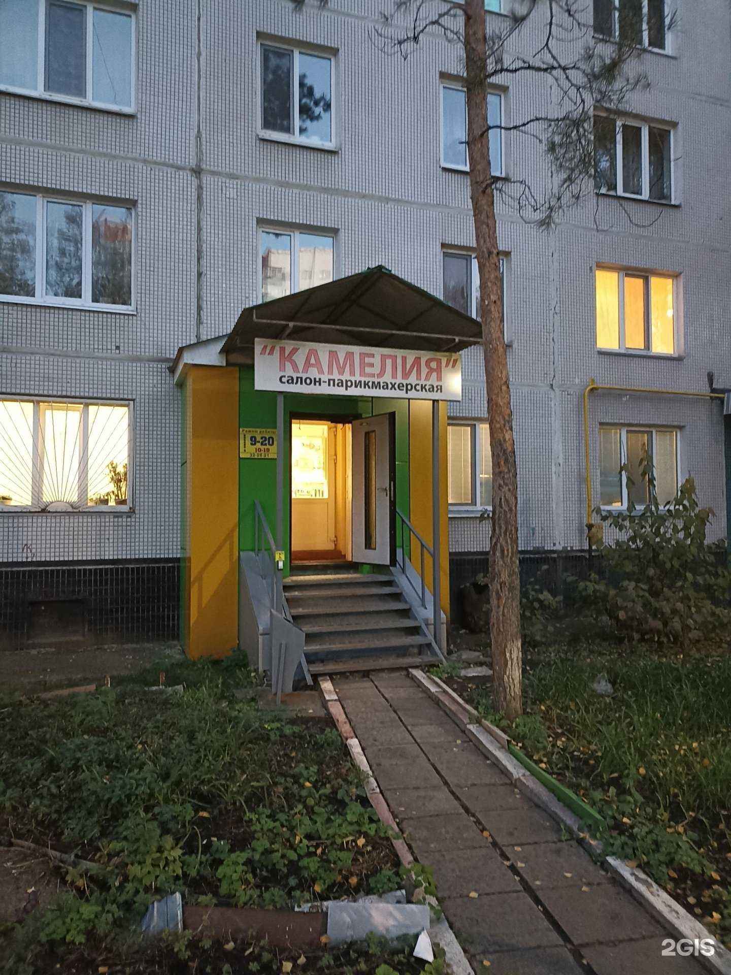 Отзывы на компанию Камелия в г. Набережные Челны c фото