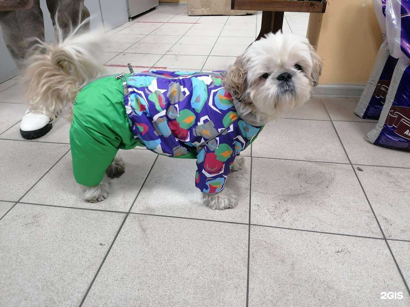 Отзывы на компанию Zooland в Междуреченске c фото