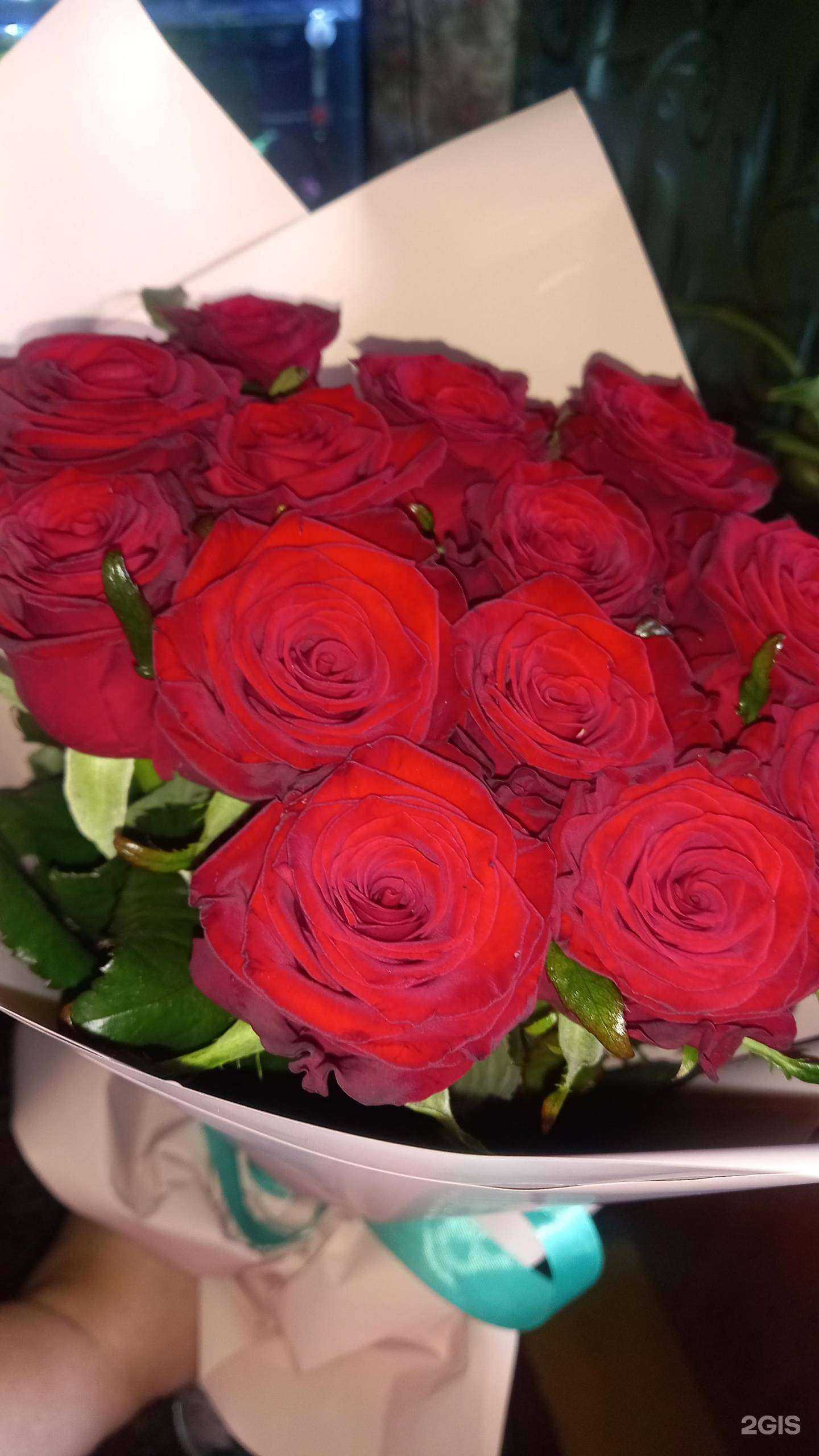 Отзывы на компанию Labuton в г. Красноярск c фото