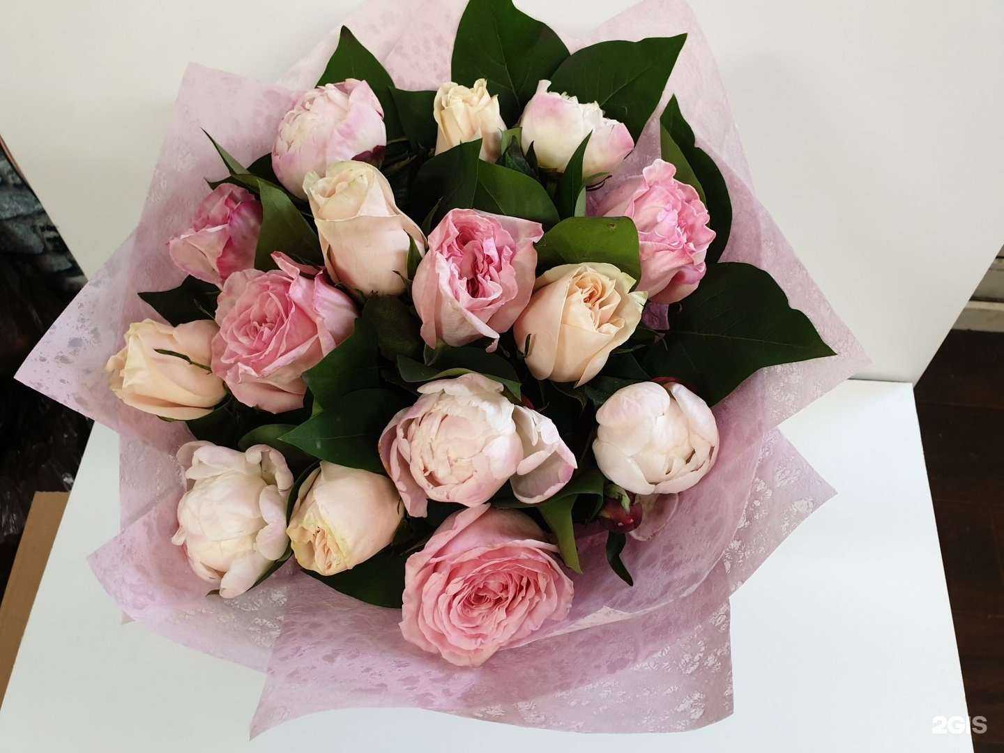 Отзывы на компанию Ameli в г. Королёв c фото