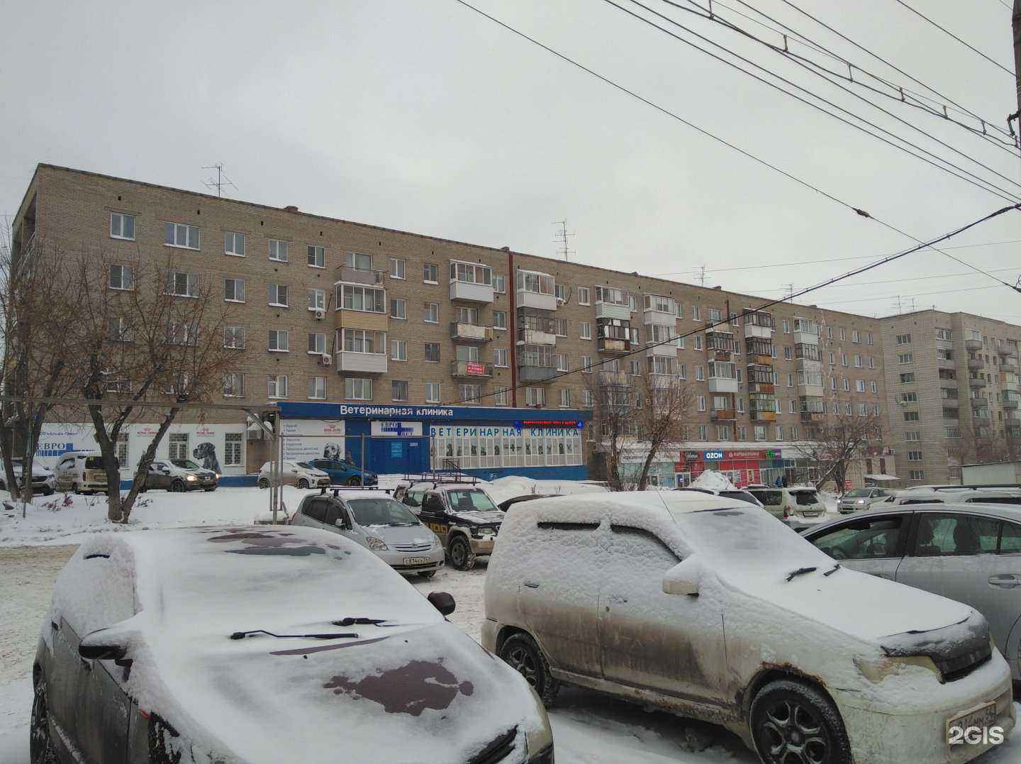 Отзывы на компанию Центральный в Новосибирске c фото - фотография 2 из 2