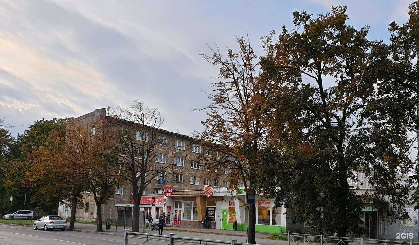 Отзывы на компанию Мама лепит в Калининграде c фото - фотография 2 из 2