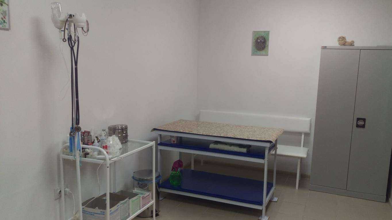 Отзывы на компанию Сова в Воронеже c фото