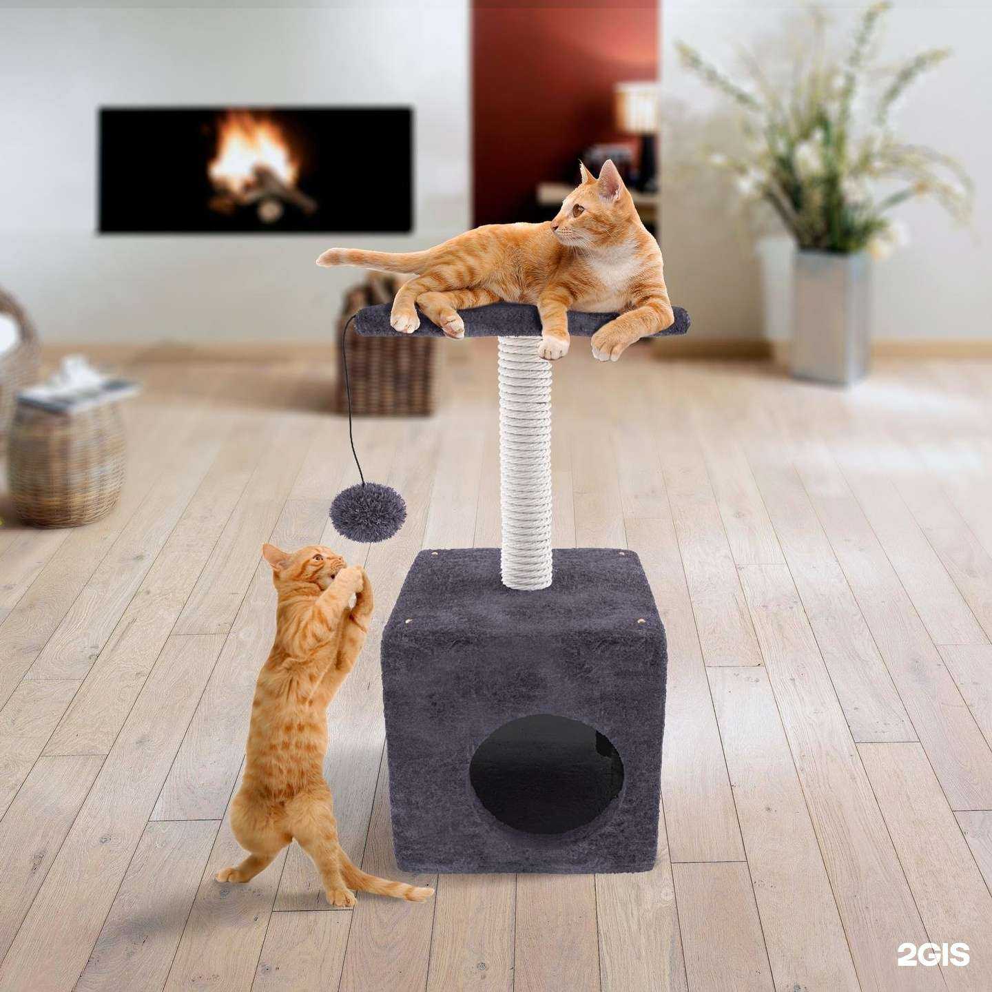 Отзывы на компанию Мастер в г. Тверь c фото